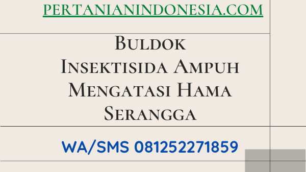 Buldok Insektisida Ampuh Mengatasi Hama Serangga